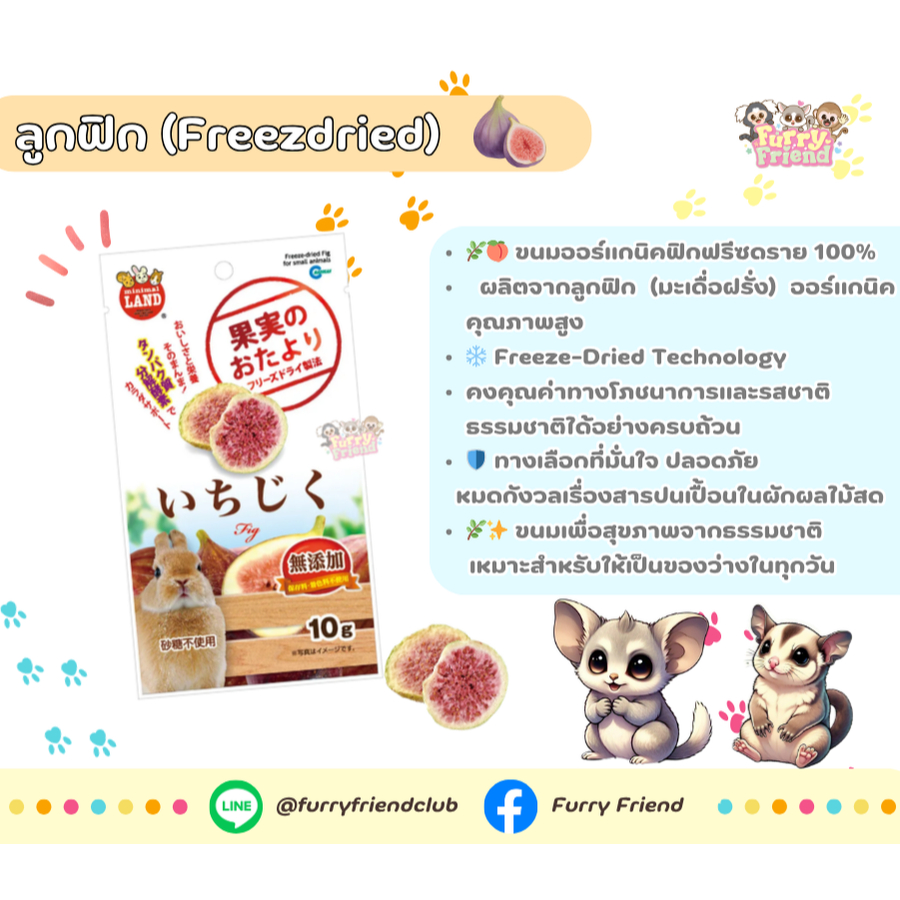 Marukan ลูกฟิก (Freezdried) นำเข้าจากญี่ปุ่น สำหรับชูการ์ไกรเดอร์ บุชเบบี้ กระรอก แฮมสเตอร์