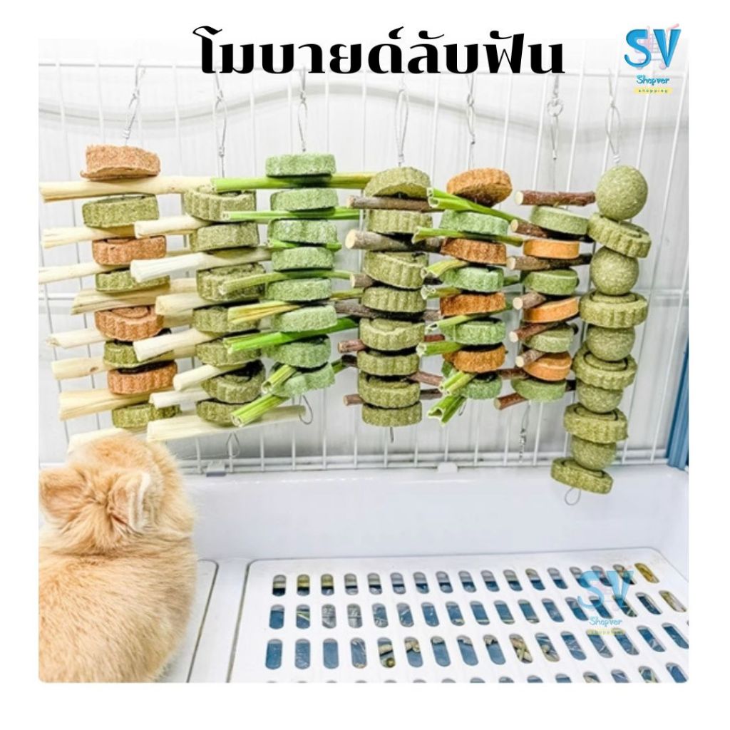 โมบายคุกกี้หญ้า + ไม้แอปเปิ้ล ไม้ไผ่หวาน ก้านมะละกอ และขนมแครอท หญ้าทิโมธี ลับฟัน ขนมกระต่าย สัตว์ฟันแทะขนาดเล็ก