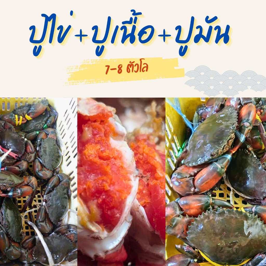 ปูไข่ ปูเนื้อ ปูมัน รวมเซต 1โล ปูธรรมชาติ