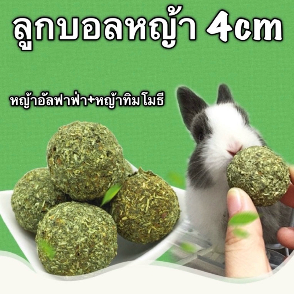 R-1 ลูกบอลหญ้า 4cm อาหารกระต่าย คุกกี้หญ้าอัลฟาฟ่า+หญ้าทิมโมธี สำหรับสัตว์ฟันแทะ กระต่าย ชินชิล่า แกสบี้ R1