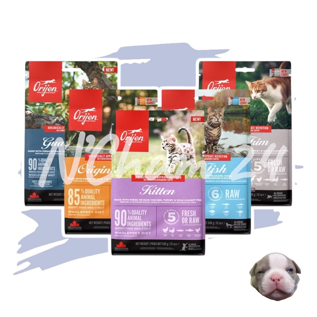 Orijen cat ขนาด 340 กรัม อาหารแมว เกรด Holistic, Grain-Free จากแคนนาดา
