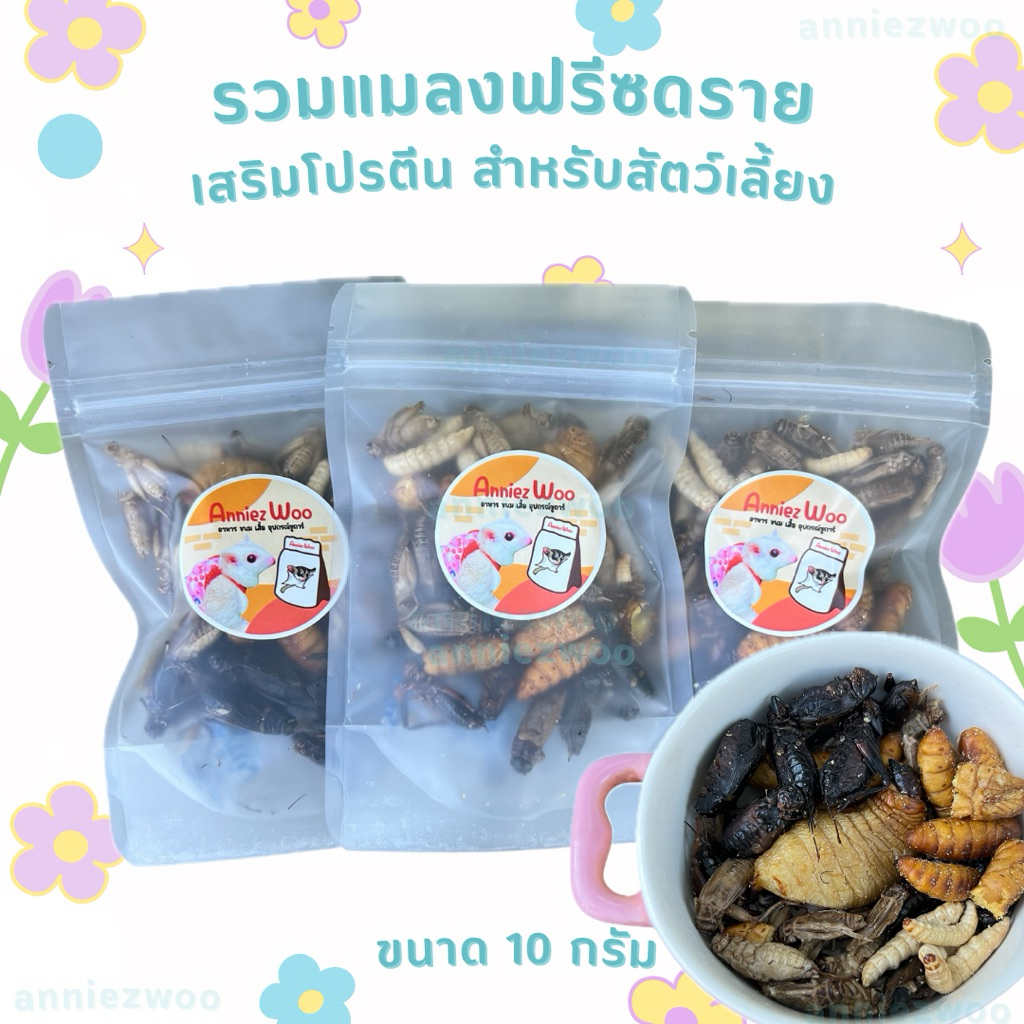 รวมแมลงฟรีซดราย สำหรับชูการ์ไกรเดอร์ แฮมเตอร์ กระรอก เม่นแคระ ดอร์เมาส์ ขนาด 10 กรัม