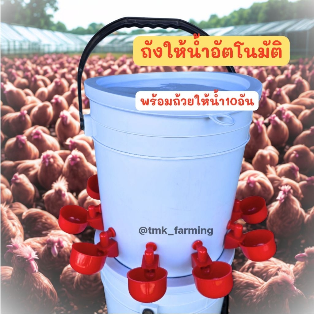 ถังให้น้ำไก่อัตโนมัติ​พร้อมใช้งาน ขนาด 20ลิตร พร้อมถ้วยเติมน้ำไก่อัตโนมัติ 10 ใบ