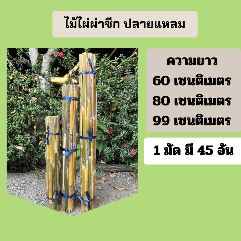 ไม้ไผ่ผ่าซีก ไม้ไผ่ดามต้นไม้ ไม้ไผ่ ปลายแหลม ความยาว 60,80,99 เซนติเมตร (1 มัด มี 45 อัน)