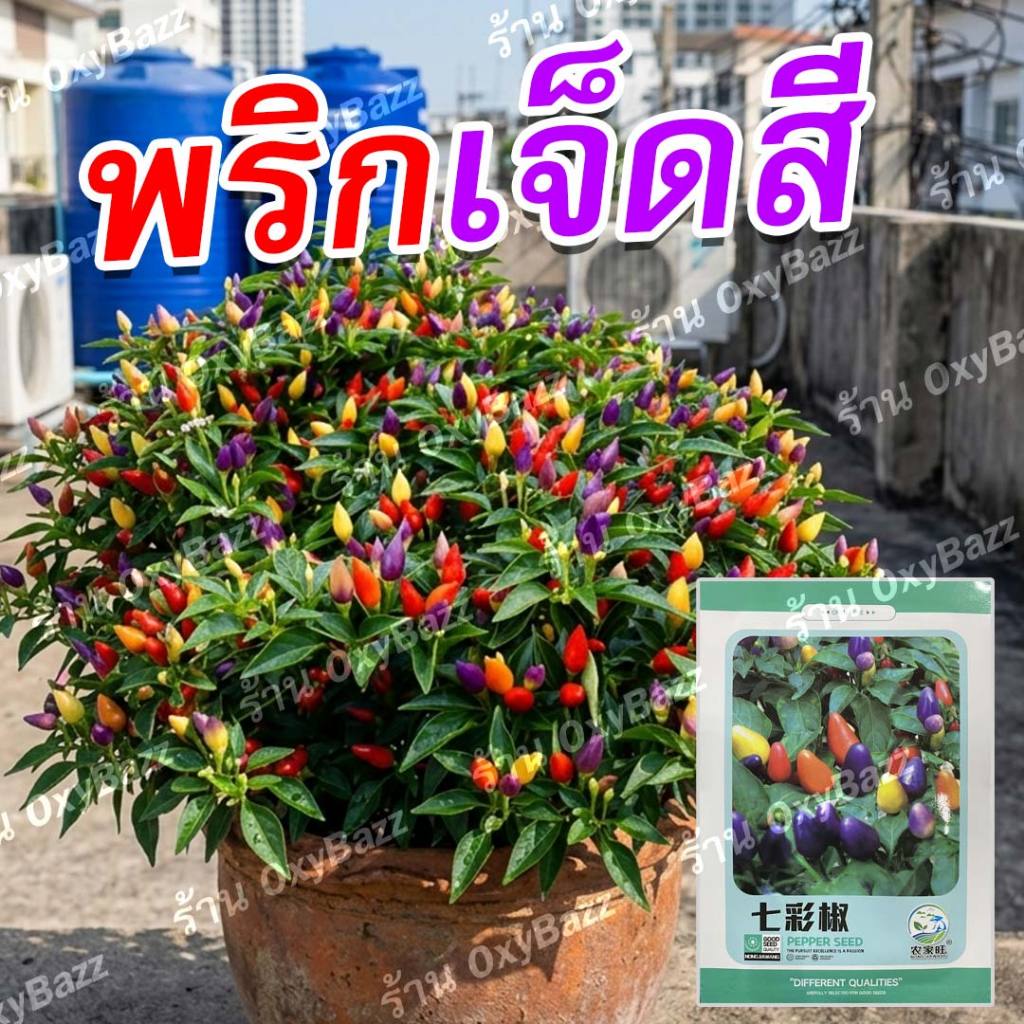 เมล็ดพริกเจ็ดสี 150 เมล็ด พริกสีรุ้ง สีสวย 7 สี ปลูกง่าย ลูกดก ต้นสวยประดับสวน ปลูกได้ในกระถางและแปลง