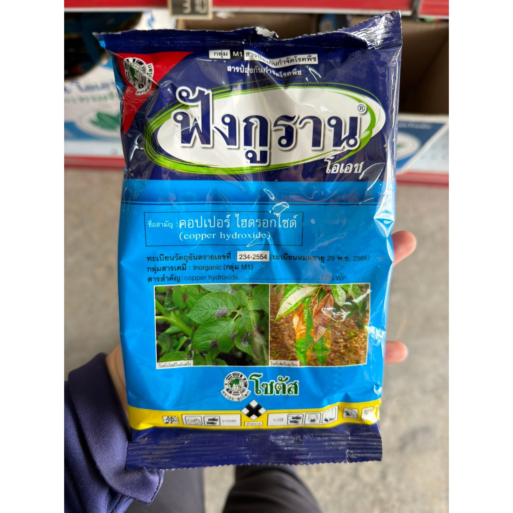 ฟังกูราน 100กรัม แคงเกอร์ คอปเปอร์ไฮดรอกไซด์ เชื้อราโรคพืช