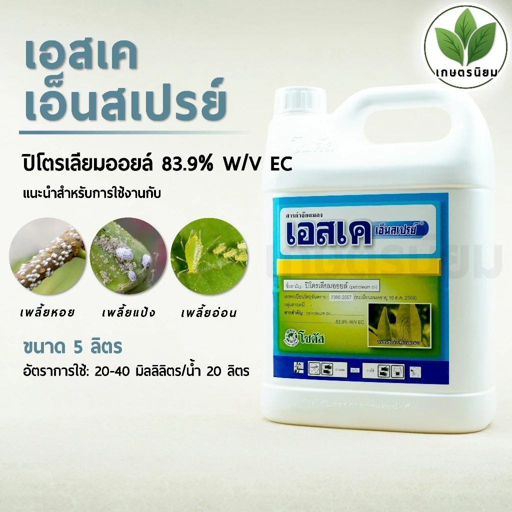 เอสเค เอ็นสเปรย์99 (ปิโตรเลียมออยล์ 83.9% W/V EC) *แกลลอน 5 ลิตร*