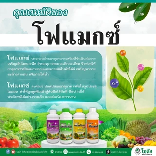 โฟแมกซ์ แมกนีเซียม 300 ขนาด 1 ลิตร เสริมธาตุแมกนีเซียม เพิ่มการสังเคราะห์แสง ป้องกันใบเหลือง