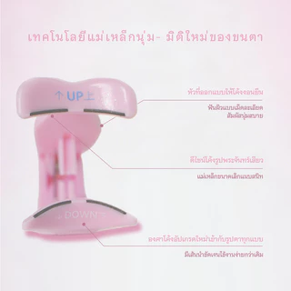 MAYSEEN ขนตาแม่เหล็กไม่ใช้กาว เบาสบายเหมือนขนตาจริง ติดทนทั้งวัน กันน้ำกันเหงื่อ ขนตาปลอมแม่เหล็กถอดง่าย 3 วิ สไตล์เกาหล