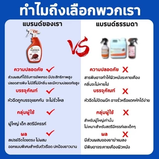 [บอกลากับตัวเรือด] ยาฆ่าตัวเรือด 500ml ไม่มีสีไม่มีกลิ่น ไม่เป็นอันตรายต่อร่างกายมนุษย์ bed bug killer spray ยากำจัดเรือ