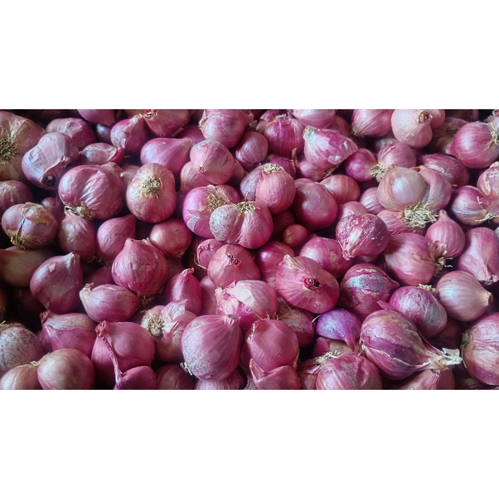 โปรโมชั่น!!!🧅หอมแดงศรีสะเกษแท้💥ตัดจุก กก.ละ 49 บาท💥ส่งฟรี✅