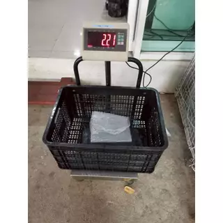 ลังพลาสติกโปรง สี่เหลี่ยม 31x42x60CM. มีที่จับ รุ่น S0098 ลังใส่ของ ลังพลาสติกโปร่ง ลังใส่ผลไม้ รองรับน้ำหนักประมาณ30KG