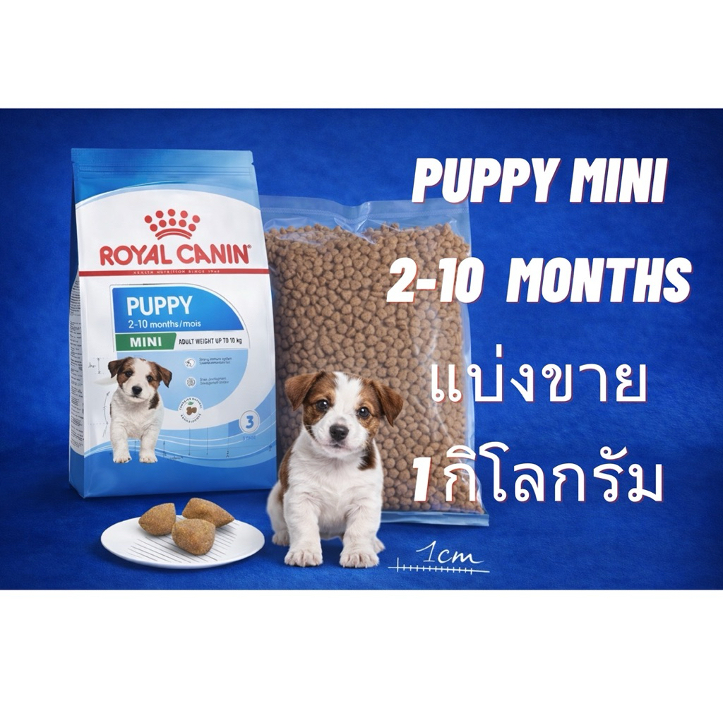 (PUPPY) Royal Canin Mini Puppy ^^อาหารเม็ดลูกสุนัขพันธุ์เล็ก แบบแบ่งขาย 1 กิโลกรัม