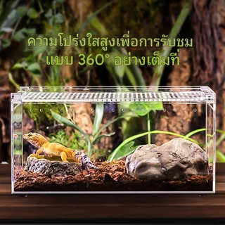 กล่องเลี้ยงสัตว์เลื้อยคลาน วัสดุอะคริลิก ตู้สัตว์เลี้ยง การสังเกตที่โปร่งใส 360องศา