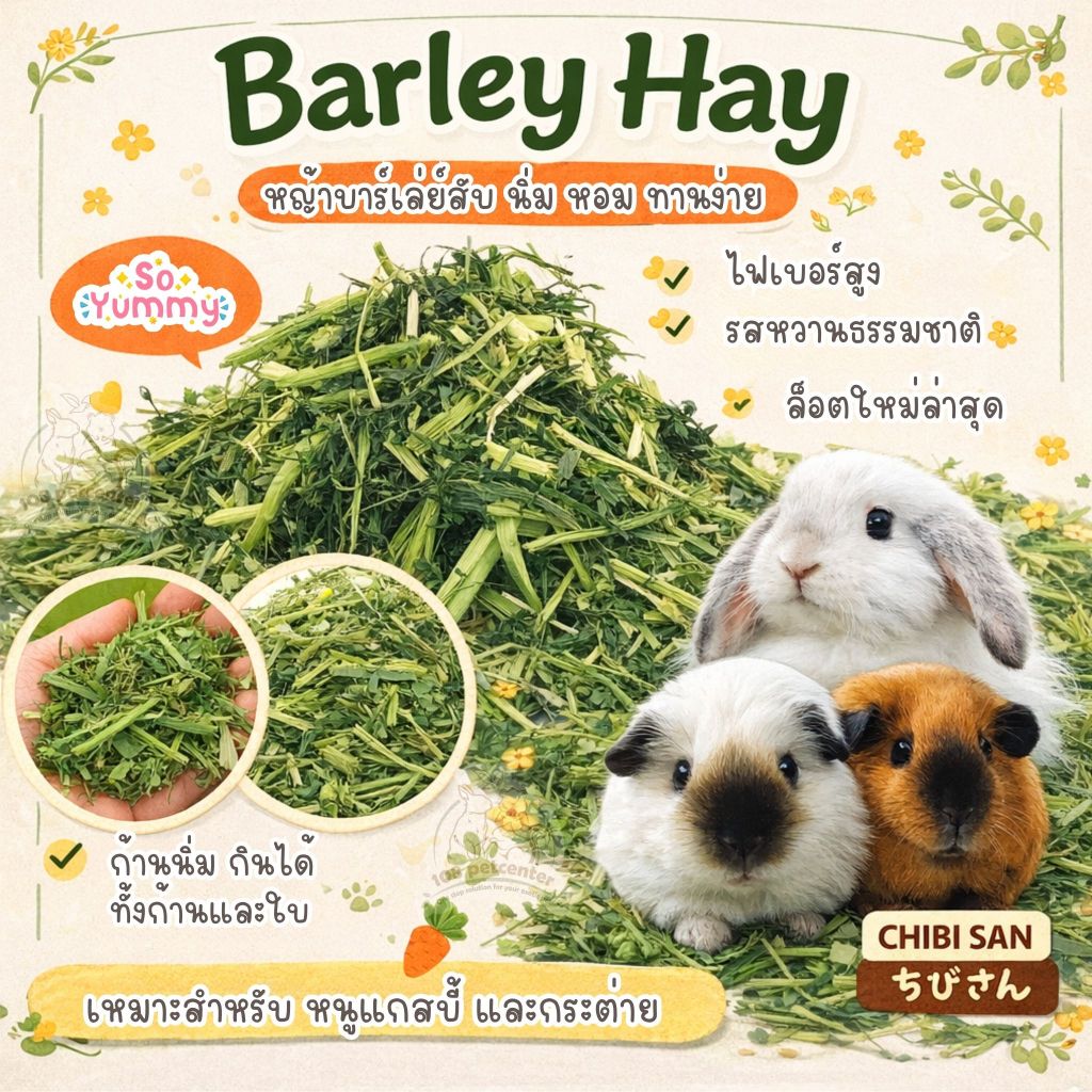 หญ้าบาร์เลย์สับ อบลมร้อน Barley Hay อาหารกระต่าย แกสบี้ อาหารสัตว์เล็ก ไฟเบอร์สูง