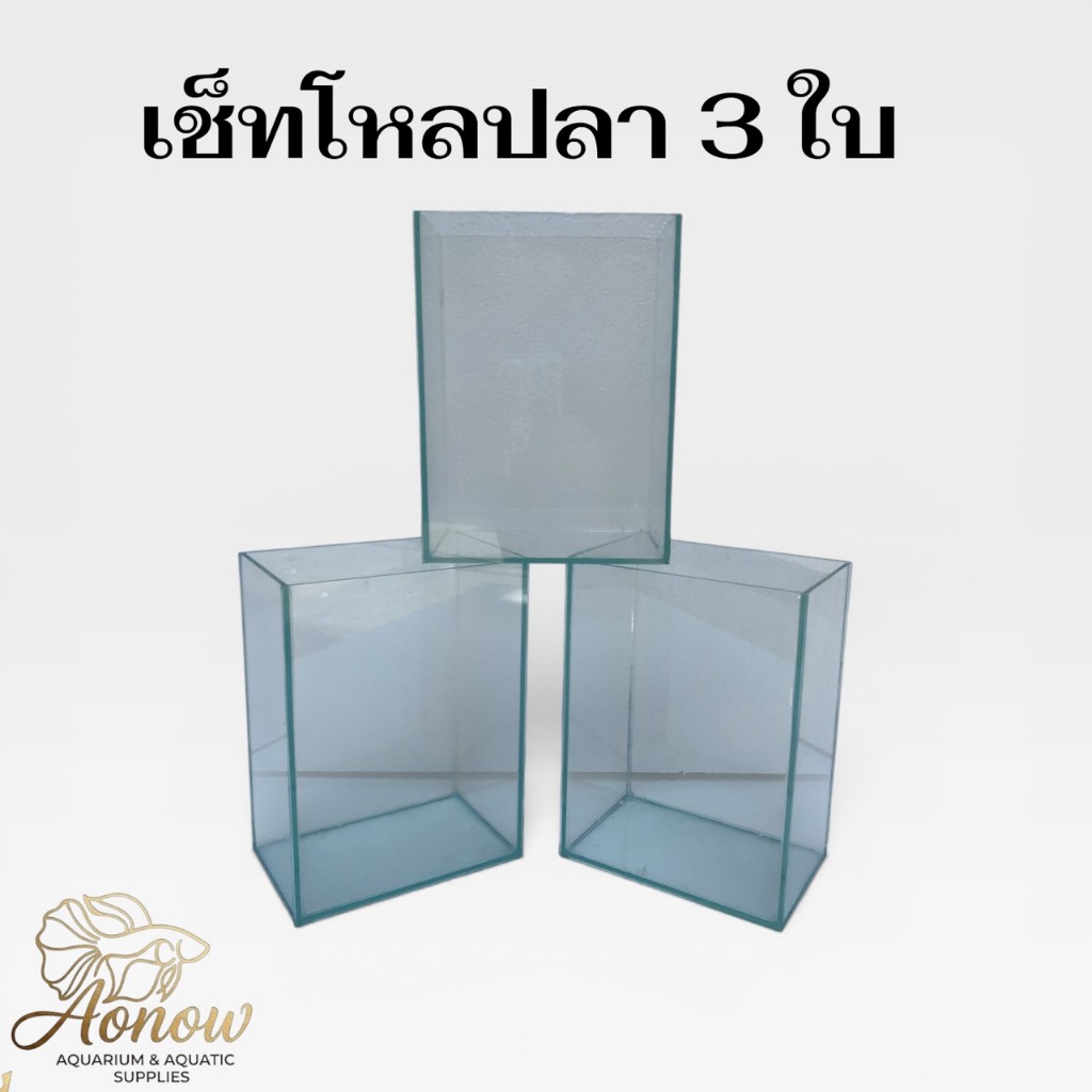 ตู้ปลากัดทรงสูง ชุด 3 ใบ ขนาด 4x6x8 นิ้ว ดีไซน์ประหยัดพื้นที่ กระจกใสเห็นตัวปลาชัดเจน เหมาะสำหรับโชว์ปลากัดสวยงาม