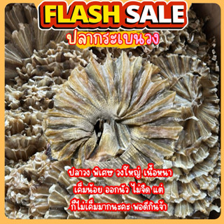 ปลากระเบนบง ปลาวง พิเศษ เป็นปลาวงใหญ่ เค็มน้อย นัว กำลังพอดี…