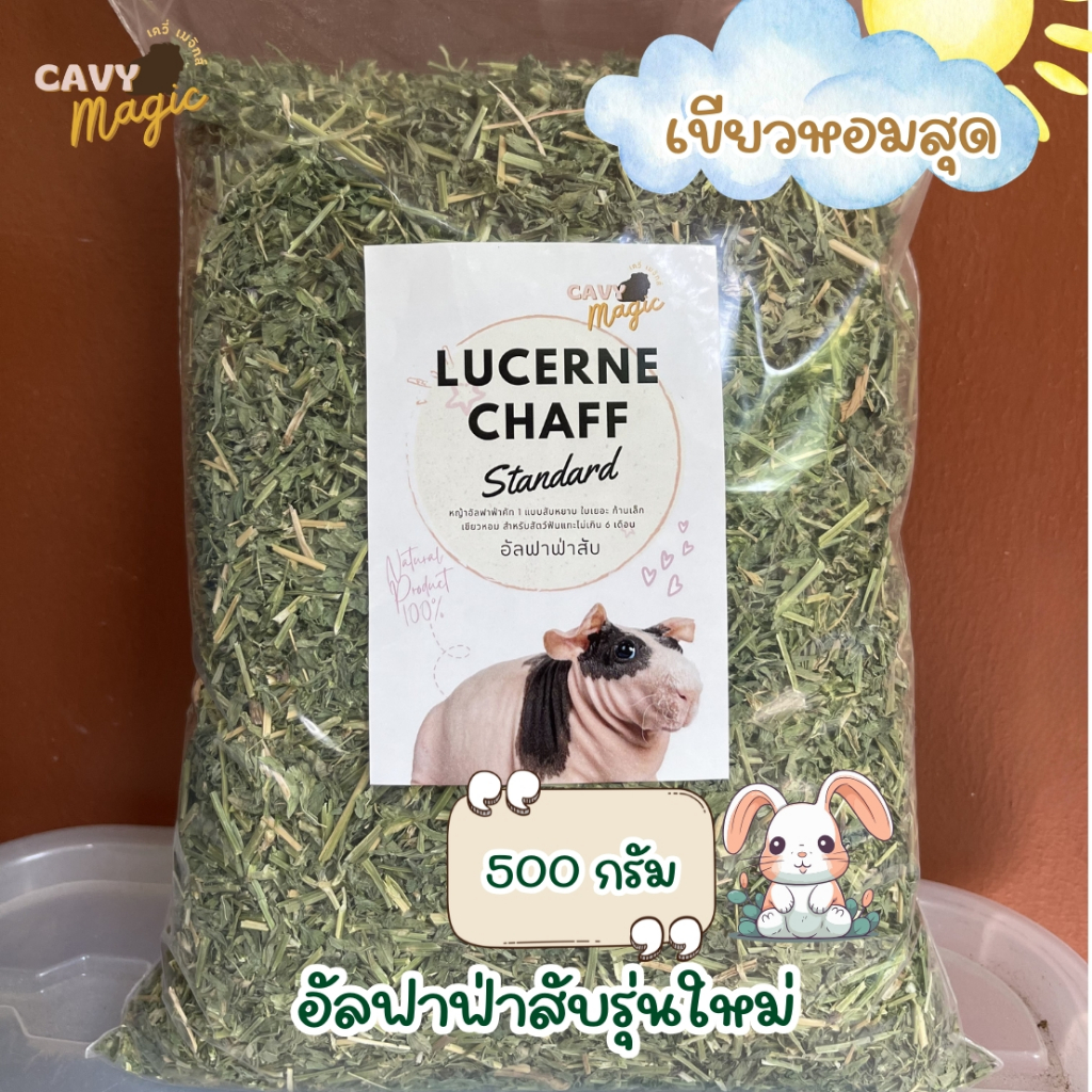 New หญ้ากระต่าย อัลฟาฟ่าสับ 1 กิโล และ 500 กรัม (ร่อนฝุ่น) จากออสเตรเลีย ใบเยอะ