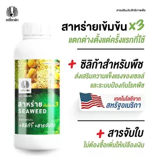 ฮอร์โมน [สาหร่ายทะเลเข้มข้นสูตรน้ำ] 1L ทำใบ ดึงดอก บำรุงต้น แก้ต้นโทรม ใบเหลือง ปุ๋ยน้ำ ปุ๋ยเหยี่ยวดำ