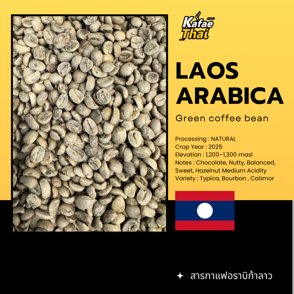 [ส่งฟรี]  Laos Arabica Green Coffee Bean สารกาแฟอราบิก้าลาว 100% ขนาด 1 กิโลกรัม