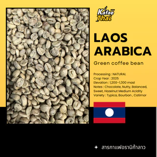 [ส่งฟรี] Laos Arabica Green Coffee Bean สารกาแฟอราบิก้าลาว 100% ขนาด 1 กิโลกรัม