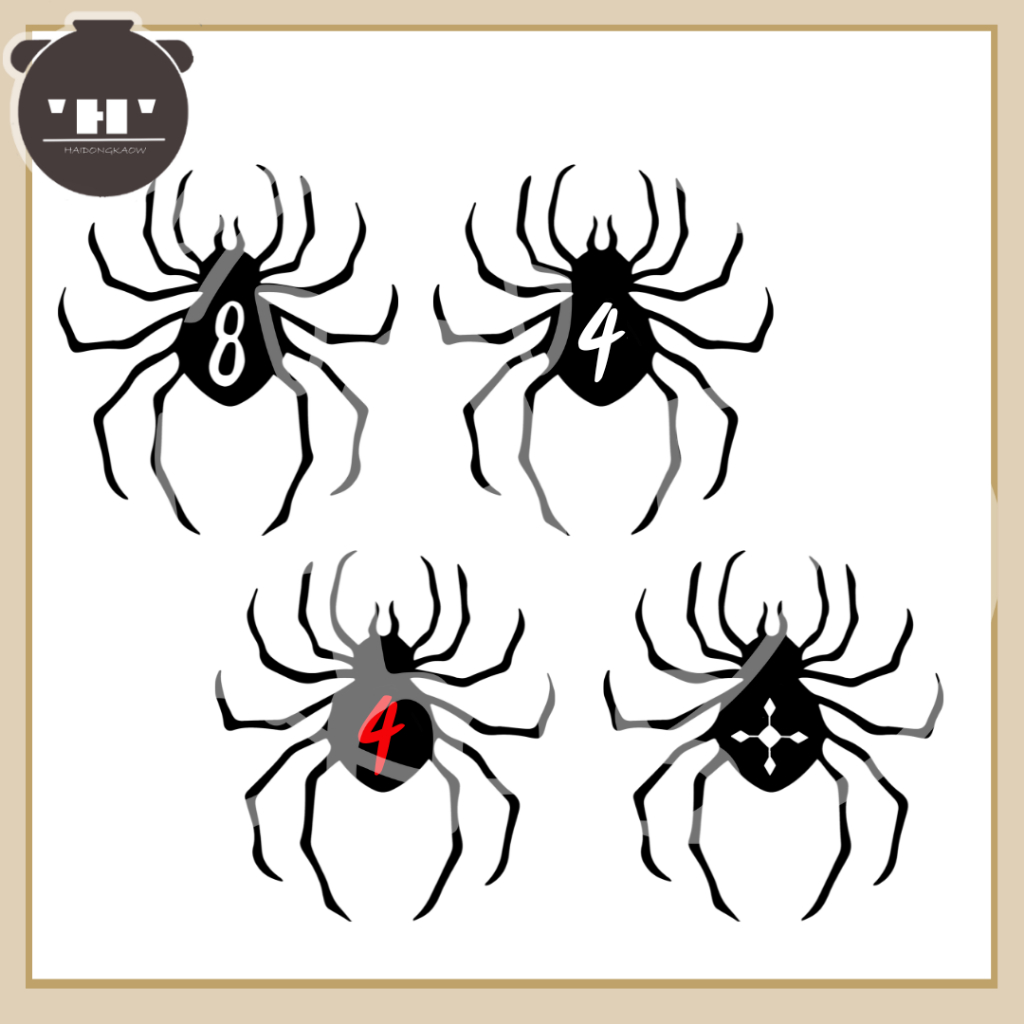 📦 พร้อมส่ง 📦 tattoo แทททู hunter x hunter - shizuku | Phаntоm Trоupе | Spider Tattoos