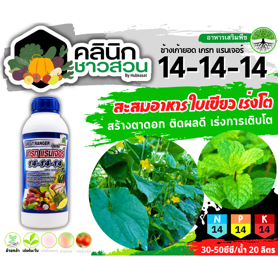 🚜 (ส่งฟรี) บรรจุ 🥬 เกรท แรนเจอร์ ช้างเก้ายอด (14-14-14) บรรจุ 1ลิตร สะสมอาหาร ใบเขียวมัน