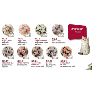 [24กระป๋อง] Felina Canino Cat อาหารแมวเปียก บรรจุกระป๋อง 70g