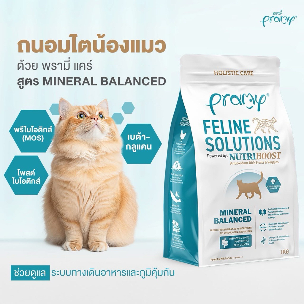 Pramy Feline Solution อาหารแมว สูตร Mineral Balanced ถนอมไตแมว (1kg-2.3kg) Renal Cat