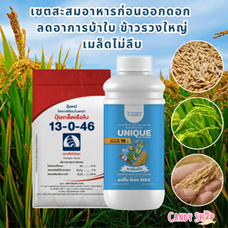 เซตสะสมอาหารก่อนออกดอก ยูนีคอะมิโนพืช +13-0-46 เรือใบไข่มุก …