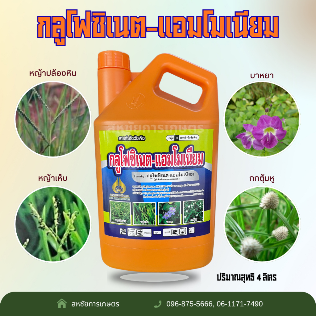 กลูโฟซิเนต-แอมโมเนียม กำจัดวัชพืช หญ้าปล้องหิน หญ้าเห็บ บาหยา กกตุ้มหู ตราดอกบัวทอง ขนาด 4 ลิตร