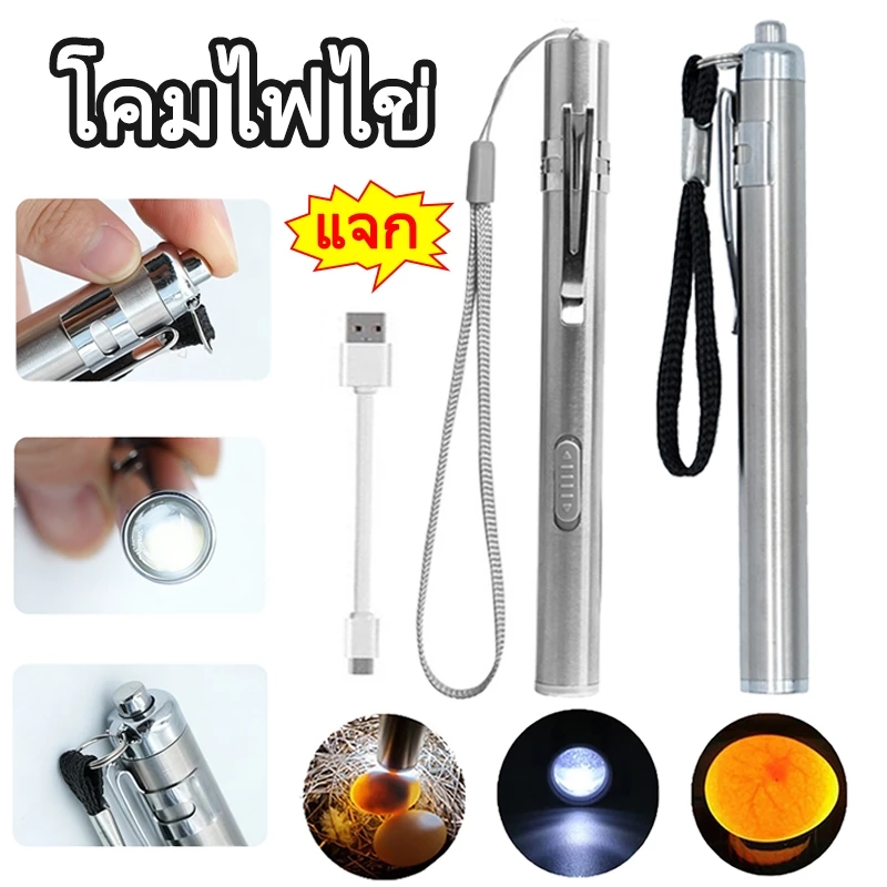 ไฟฉายส่องไข่ แบบชาร์จUSB ไฟตรวจไข่ไก่-นก ราคาถูก กินไฟน้อย อุปกรณ์เสริมตู้ฟักไข่ 💯🥇