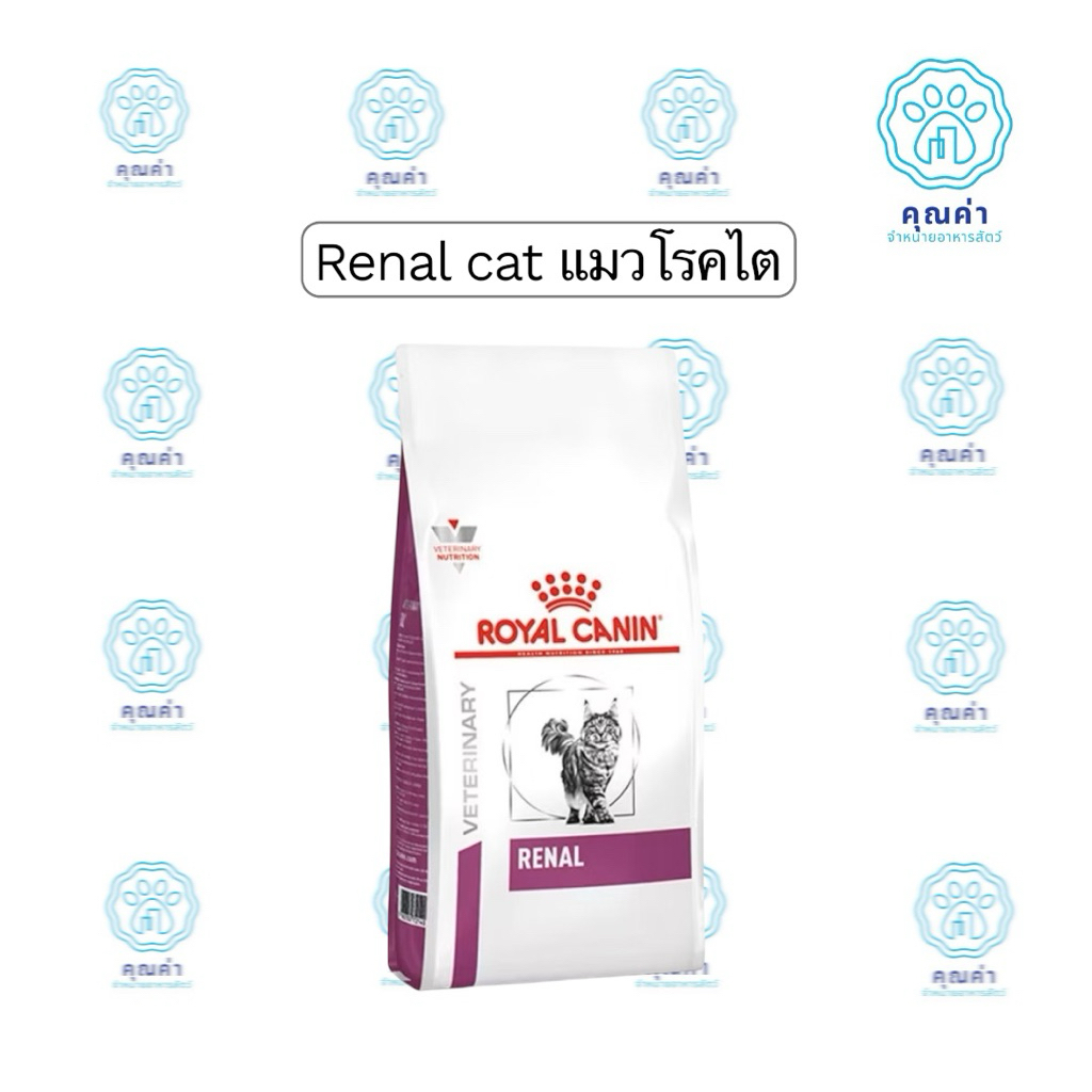 Royal Canin (RENAL cat)(2kg) อาหารแมว สําหรับแมวโตที่เป็นโรคไต ชนิดเม็ด