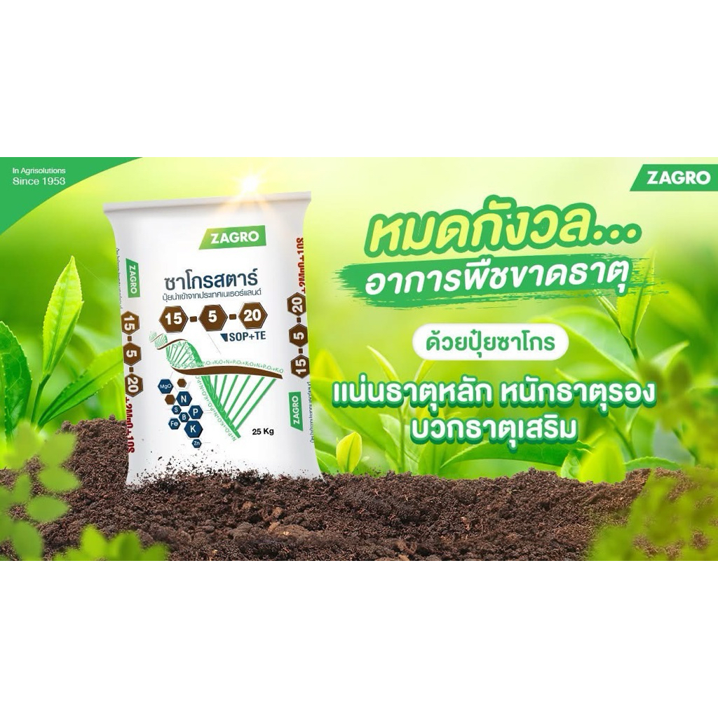 ปุ๋ยสูตร 15-5-20(ซาโกรสตาร์นำเข้าจากเนเธอร์แลนด์) สร้างเนื้อขยายผลรูปทรงสวย (ขนาด25 กิโลกรัม )