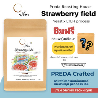Strawberry field (เมล็ดกาแฟ LTLH คั่วอ่อน Light Roast Specia…
