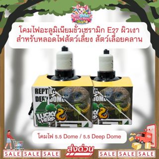 ส่งด่วน_Lucky Herp Reptile Dome / Deep Dome 5.5 นิ้ว โคมไฟสั…