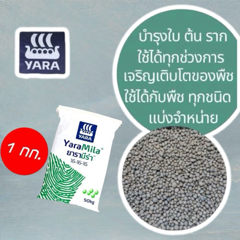 ปุ๋ย 16-16-16 เรือใบยารามีร่า แบ่งขาย 1kg บำรุงต้น บำรุงใบ