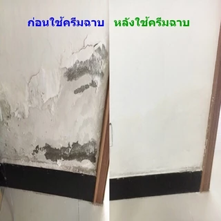 ครีมฉาบผนัง ซ่อมผนัง สีโป้ว ซ่อมผนัง ซ่อมรอยแตกร้าว ซ่อมแซมรอยร้าว ขนาด 250กรัม Wall Repair