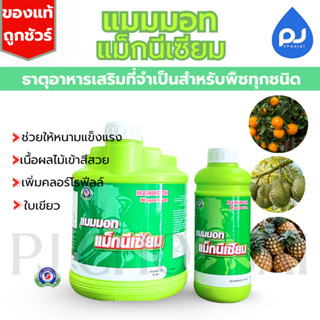 อาหารเสริมแมมมอท แม็กนีเซียม