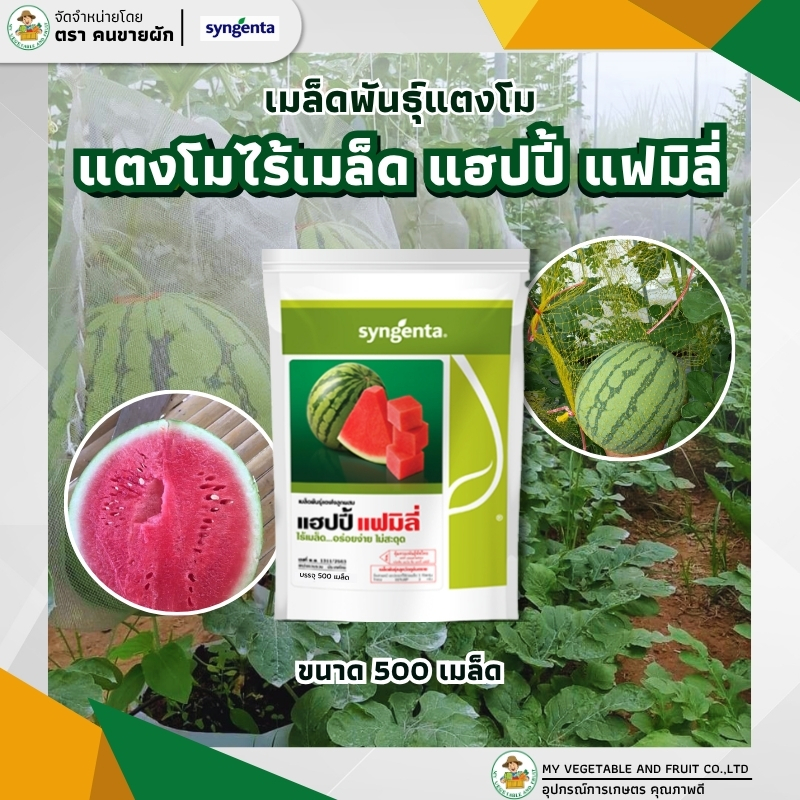 แตงโมไร้เมล็ดแฮปปี้แฟมิลี่ 500 เมล็ด เมล็ดพันธุ์แตงโมไร้เมล็ดลูกผสม ตราซินเจนทา