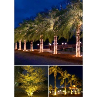 กลางแจ้งกันน้ำไฟ LED ต้นไม้ ไฟสปอร์ตไลท์แบบวงแหวน มีแสงสีขาว, แสงสีเหลือง, แสงที่มีสีสัน RGB เหมาะสำหรับสวนสาธารณะ สวน