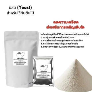 ยีสต์สำหรับต้นไม้ช่วยส่งเสริมการเจริญและป้องกันโรคพืชยีสต์สำหรับต้นไม้PGPYป้องกันโรคส่งเสริมการเจริญเติบโต