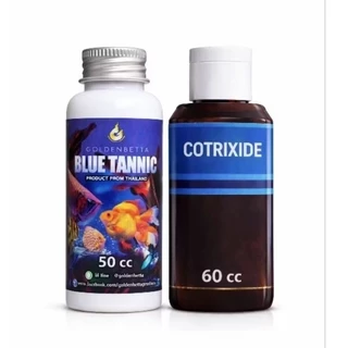 GOLDENBETTA​ แทนนิน​สกัด​ + Cotrixide​ คู่หู​ ดูแลน้ำ​ (เลือกสีน้ำ​ เลือกขนาด)