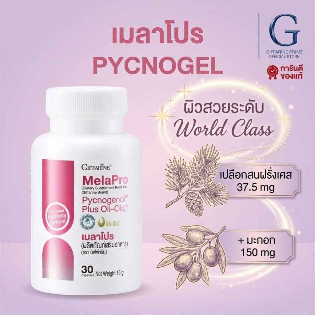 เมลาโปร พิกโนจีนอล กิฟฟารีน Mela Pro Pycnogenol Giffarine สารสกัดเปลือกสนฝรั่งเศส ผสมมะกอกสกัด