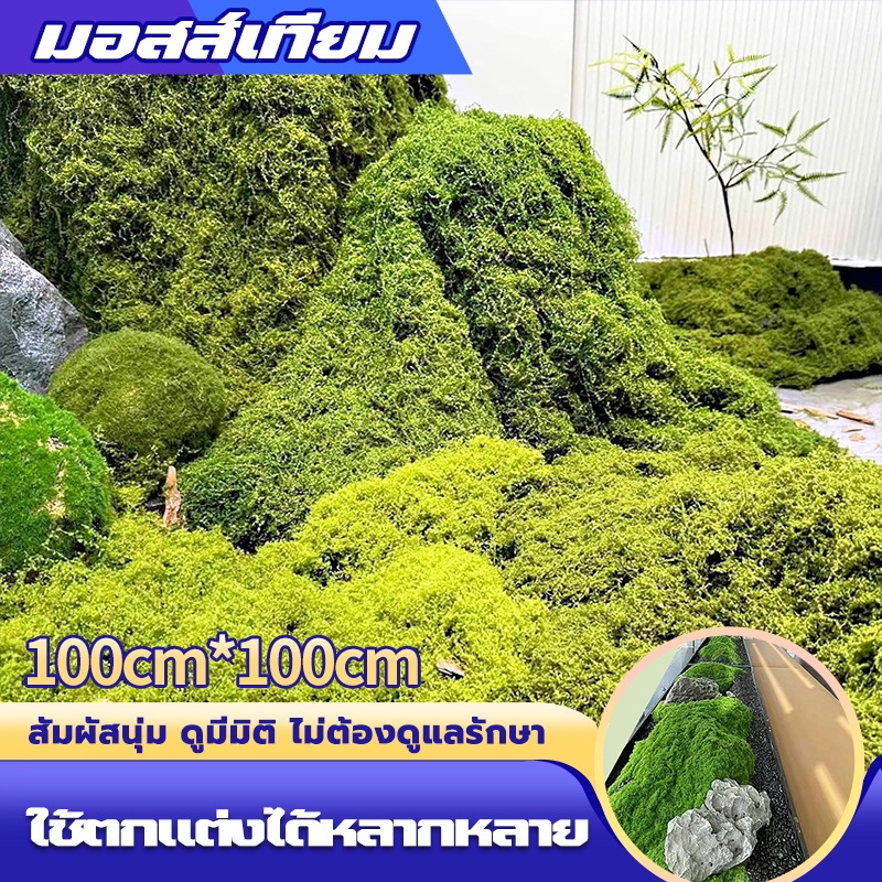 แผ่นหญ้ามอสปลอม สีเขียวธรรมชาติ ใช้งานง่าย ตัดแต่งได้ตามต้องการ เหมาะกับงาน DIY และถ่ายภาพสินค้า