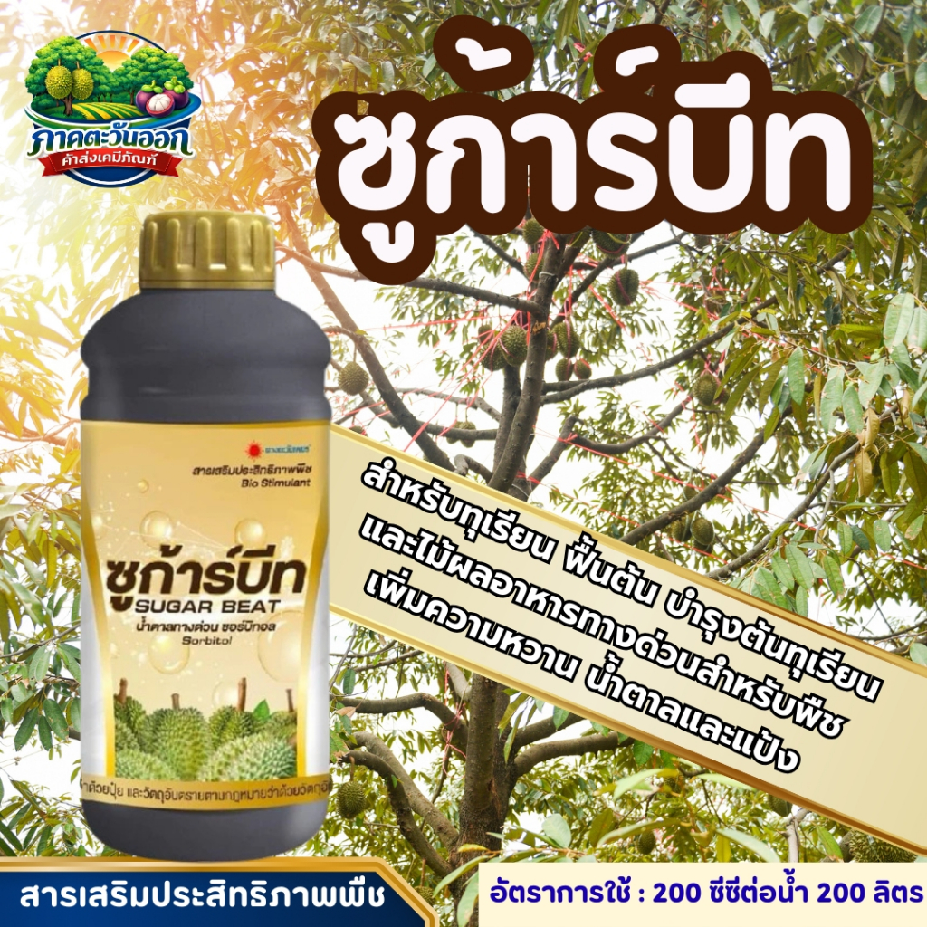 ซูก้าร์บีท น้ำตาลทางด่วน (ขนาด 1 ลิตร) ดวงตะวันเพชร ฟื้นต้น ลดการหลุดร่วง มีซอร์บิทอล30% มีไบโอสติมูแลนท์