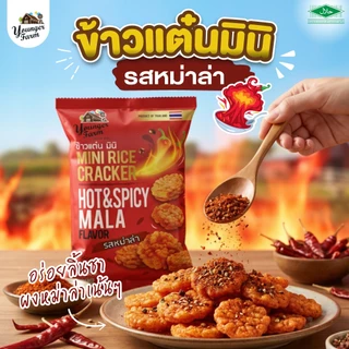 ข้าวแต๋น มินิ ยังเกอร์ ฟาร์ม Younger Farm Mini Rice Cracker 60-80 g.