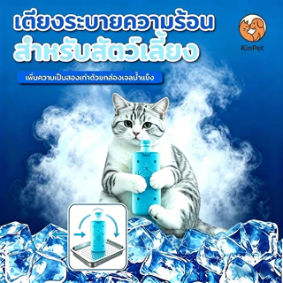 ที่นอนเย็นสำหรับแมว (แถมขวดน้ำแข็ง 2 ขวด) ที่นอนเย็นสำหรับสัตว์เลี้ยง ้ความเย็นด้วยวิธีทางกายภาพ สะอาด ผ ผลิตจากวัสดุรี