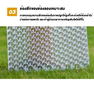 ถาดเพาะกล้านาโยน 434 หลุม50/100 ชิ้น (แบบหนา) มีรูระบาย เหนียว ทนทาน ใช้เพาะเมล็ดข้าว ถาดกล้านาโยน ป้องกันโรครากเน่า