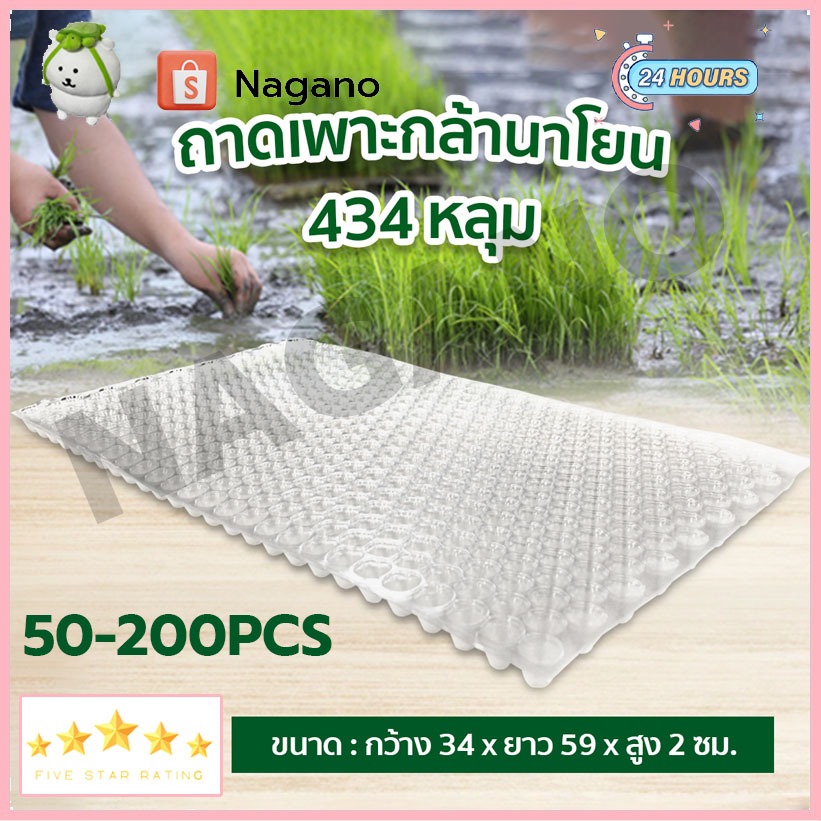 ถาดเพาะกล้า ถาดเพาะเมล็ด ถาดเพาะปลูกผัก 434หลุม เมล็ด เมล็ดพันธุ์ 50pcs